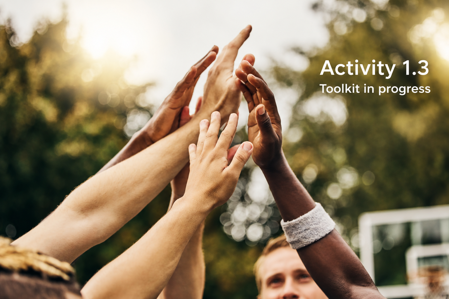 Toolkit in Progress: Activity 1.3 Underway